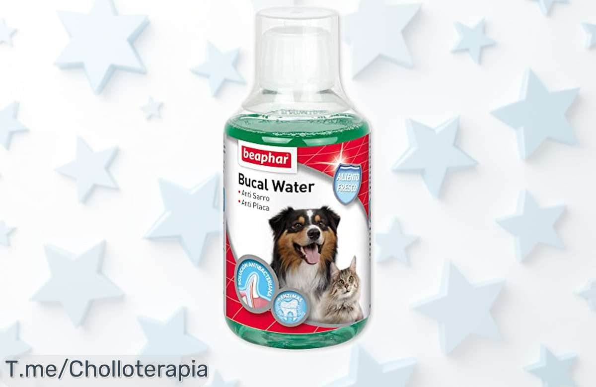 Enjuague bucal Beaphar con clorhexidina para perros y gatos, acción antisarro y aliento fresco a precio rebajado que no puedes dejar escapar ¡Corre que vuela!