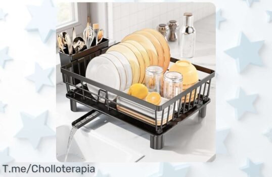 Escurreplatos de acero inoxidable LionOnly con drenaje automático y diseño que ahorra espacio su precio rebajado es una ganga que vuela ¡No pierdas este ofertón irresistible!