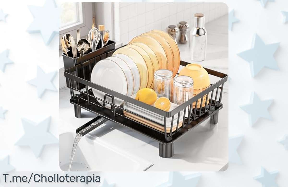 Escurreplatos de acero inoxidable LionOnly con drenaje automático y diseño que ahorra espacio su precio rebajado es una ganga que vuela ¡No pierdas este ofertón irresistible!
