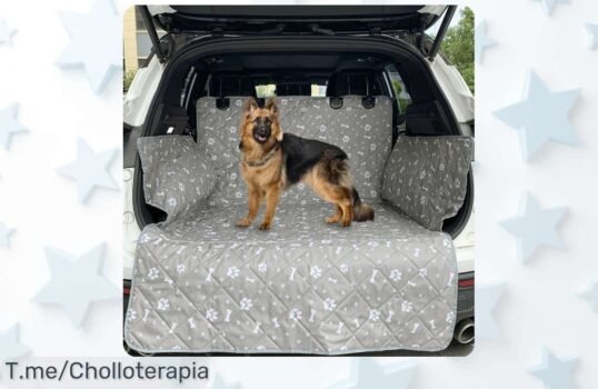 Forro impermeable grande para asiento de perros en SUV y coches con ajuste universal rebajado súper chollo que protege y mantiene limpio el coche ¡Corre que vuelan, oferta limitada!