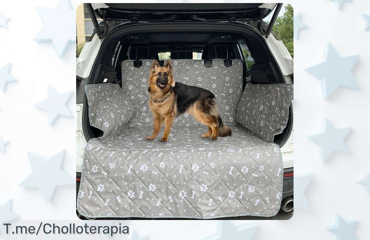 Forro impermeable para coche perfecto para perros, tamaño grande y ajuste universal que acaba de bajar su precio ¡ofertón brutal solo por poco tiempo! Aprovecha ya antes de que se agoten todas las unidades, ¡es un chollo que no puedes dejar escapar!