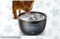 Fuente para gatos Feelneedy 3L con luz LED y filtro carbón que mantiene el agua fresquita, super silenciosa y en acero inoxidable pero ojo ¡precio rebajado brutal! Date prisa o la arrancan de las patas porque vuelan estas ofertas