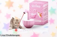 Juguete interactivo para gatos con láser Laserpaws diversión sin parar y precio rebajado que no dura mucho Aprovecha este super chollo antes de que se agote y dale a tu gato la alegría que merece Ya mismo es hora de comprar