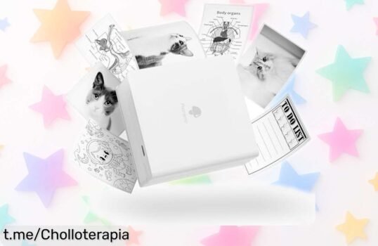 Mini impresora térmica Phomemo M02 con bluetooth imprime tus fotos y pegatinas al instante precio rebajado un super chollazo que vuela ¡no lo dejes escapar!