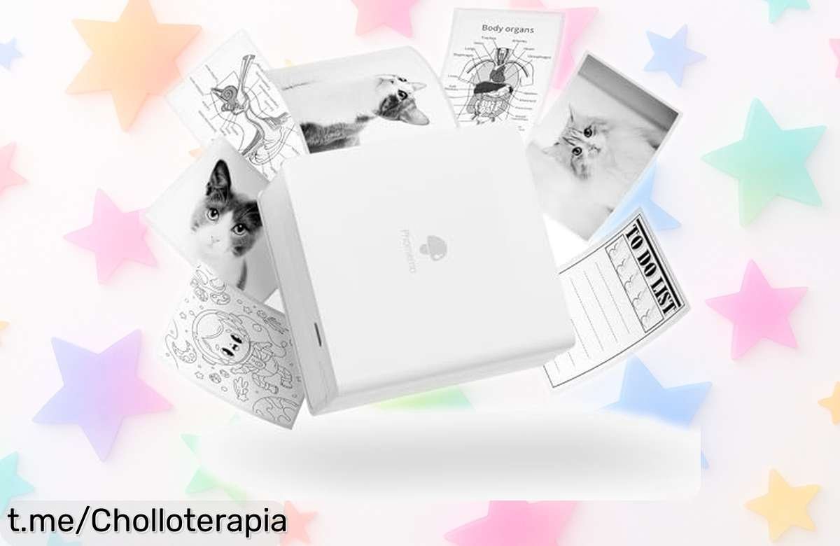 Mini impresora térmica Phomemo M02 con bluetooth imprime tus fotos y pegatinas al instante precio rebajado un super chollazo que vuela ¡no lo dejes escapar!