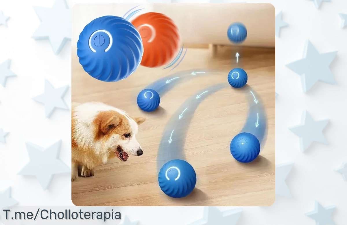 Pelota inteligente para perros con rebote automático y carga USB, diversión sin pausas a precio rebajado que vuela rápido, un ofertón único para tu cachorro ¡aprovecha ya esta ganga antes de que desaparezca!