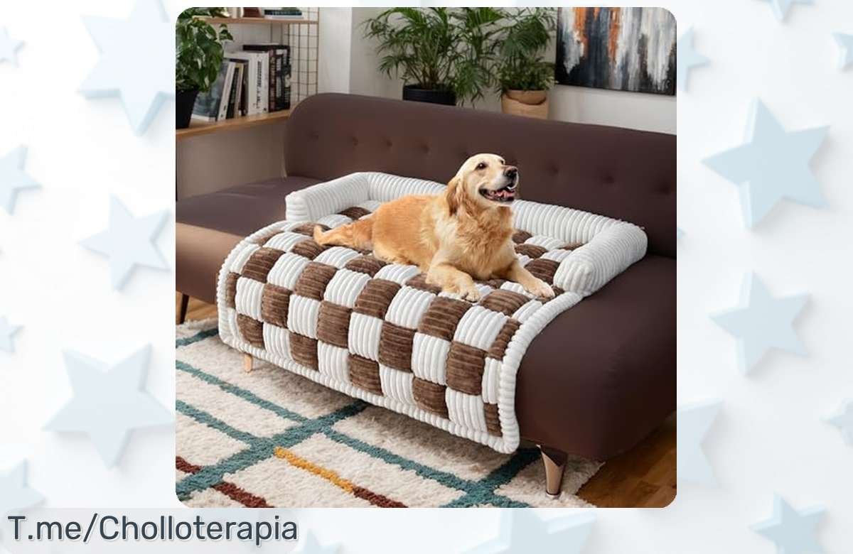 Protector de sofá para mascotas LiveGo súper suave y antideslizante con precio rebajado, ofertón irresistible que cuida tus muebles en casa o viaje, lavable y duradero ¡no dejes escapar este chollazo que vuela ya!