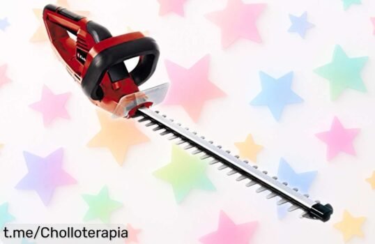 Recortasetos eléctrico Einhell GHEH 4245 con cuchillas ultra resistentes y doble seguridad, ahora a un precio rebajado que no volverás a ver ¡deja tu jardín impecable con cortes perfectos de 450 mm! Corre que esta oferta solo dura poquito
