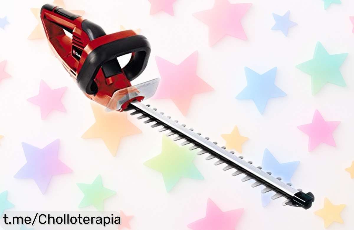 Recortasetos eléctrico Einhell GHEH 4245 con cuchillas ultra resistentes y doble seguridad, ahora a un precio rebajado que no volverás a ver ¡deja tu jardín impecable con cortes perfectos de 450 mm! Corre que esta oferta solo dura poquito.