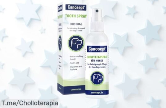 Spray dental Canosept 100ml para perros que acaba con el mal aliento y cuida sus dientes y encías, ahora con precio rebajado, un ofertón limitado perfecto para darle a tu peludo la frescura que se merece ¡no dejes escapar este super chollo!