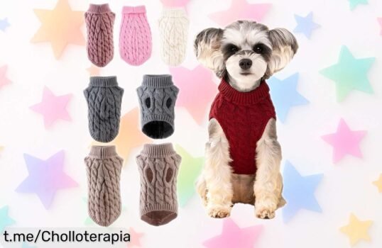 Suéter calentito para perros pequeños y gatos Esfinge con caída de precio brutal, ideal para chihuahuas y yorkshires, aprovecha este super chollo limitado que vuela ¡Consigue ya el tuyo antes que desaparezca!