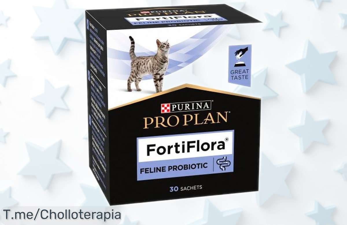 Suplemento probiótico Fortiflora felina 30 sobres con caída de precio brutal para cuidar la salud de tu gato, super chollo por tiempo limitado que no puedes dejar escapar