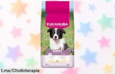 Alimento para cachorros Eukanuba de 15 kg a precio rebajado, cuida sus músculos y dientes mientras lo mimas como se merece. Aprovecha esta oportunidad única hoy mismo.