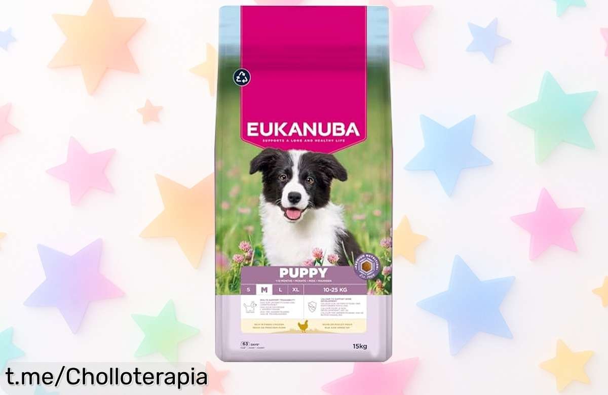 Alimento para cachorros Eukanuba de 15 kg a precio rebajado, cuida sus músculos y dientes mientras lo mimas como se merece. Aprovecha esta oportunidad única hoy mismo.