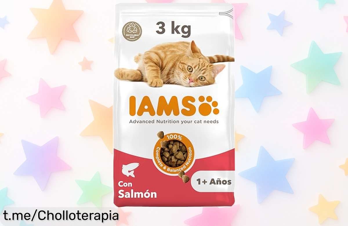 Alimento seco IAMS para gatos adultos con salmón, ¡super chollo a precio rebajado! Dale lo mejor y cuida su salud antes de que se acabe esta oportunidad única.