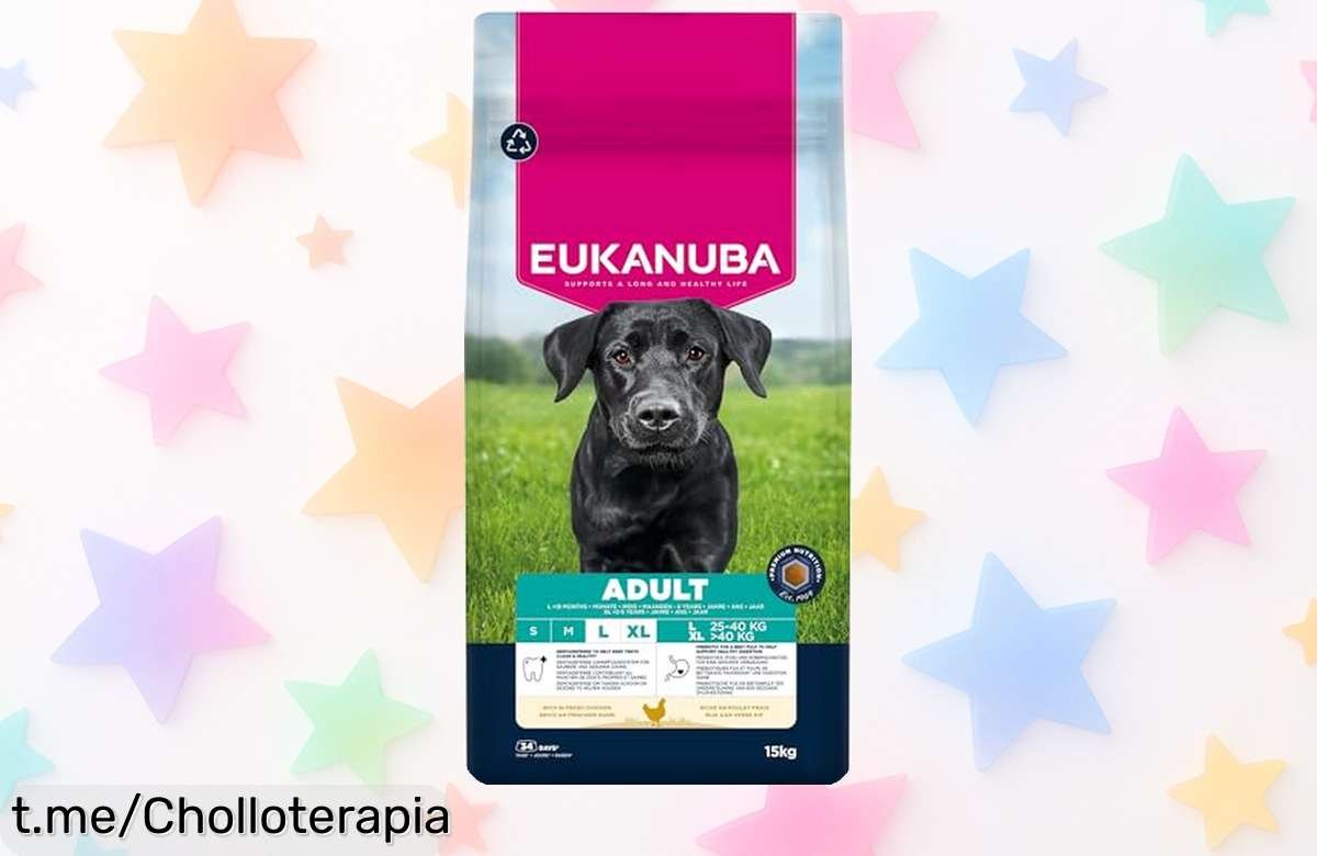 Alimento seco para perros grandes Eukanuba con pollo fresco fortalece músculos y cuida huesos dientes limpios gracias a DentaDefense precio rebajado súper chollo que se acaba rápido ¡hazte ya con el tuyo!