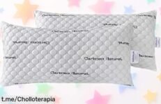 Almohada viscoelástica Todocama con tejido carbono fresco que alivia presión para dormir genial pack 2x75 cm a precio rebajado super chollo aprovecha ya antes de que se acaben