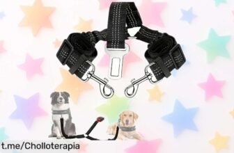 Arnés ajustable y reflectante para perros con doble cinturón de seguridad, ¡precio rebajado de locura! Viaja seguro con tu mascota y no te pierdas este super chollo que vuela. Oferta limitada, así que aprovecha ya antes de que desaparezca.