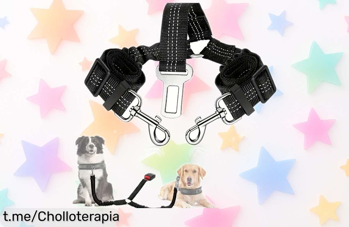 Arnés ajustable y reflectante para perros con doble cinturón de seguridad, ¡precio rebajado de locura! Viaja seguro con tu mascota y no te pierdas este super chollo que vuela. Oferta limitada, así que aprovecha ya antes de que desaparezca.