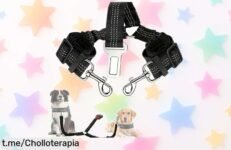 Arnés elástico ajustable para perros con cinturón doble y reflectante, ahora a precio rebajado que no podrás creer, ¡asegura su viaje y compra ya este super chollo!