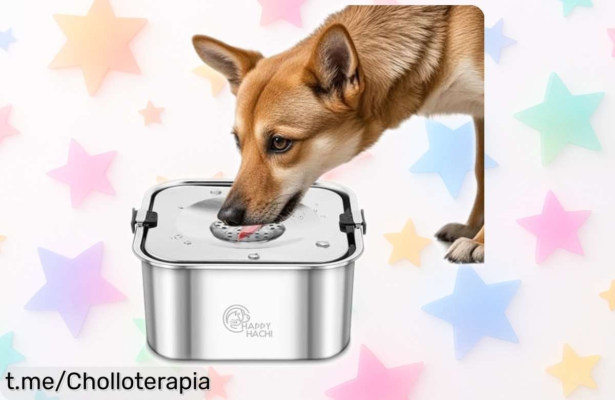 Bebedero para perros Happy Hachi de acero súper resistente con cuenco lento y base antideslizante precio rebajado chollazo que evita charcos y derrames aprovecha ya esta oferta limitada