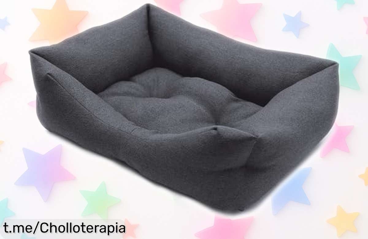 Cama impermeable para perro Croci Hydro con tejido repelente y limpiado fácil, chollazo de precio rebajado por tiempo limitado ¡corre que vuelan!