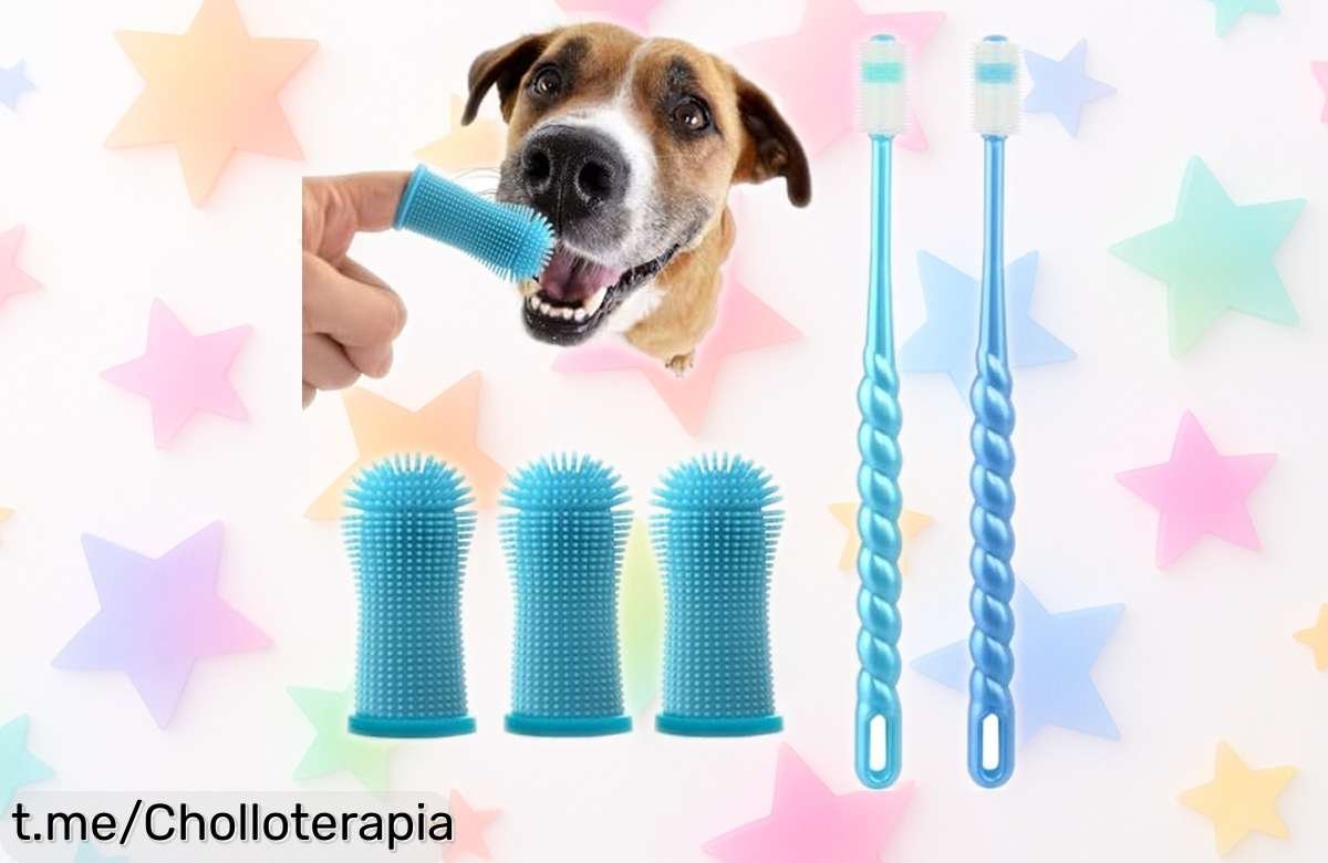 Cepillo dental 360º para perros azul limpieza fácil y eficaz con precio rebajado que te dejará sin palabras ¡Encías sanas y aliento fresco ya, no lo dejes escapar!