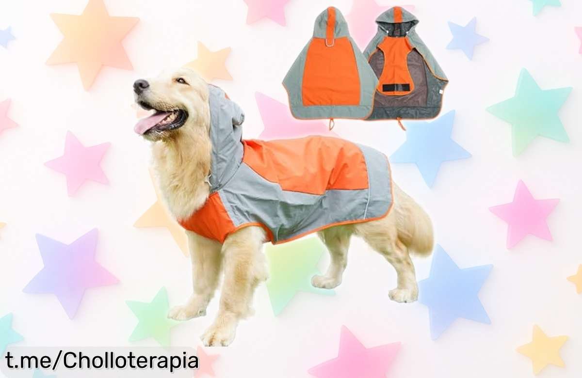 Chubasquero impermeable para perro con tiras reflectantes y capucha, rebajado por tiempo limitado perfecto para jugar bajo la lluvia sin miedo ni molestias ¡aprovecha este super chollo antes de que vuelva a subir!