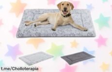 Colchoneta reversible para perros y gatos súper chula, resistente y fácil de lavar perfecta para cualquier ocasión ¡rebajada a precio loco solo por poco tiempo! No pierdas el ofertón que hará feliz a tu peludo ya mismo