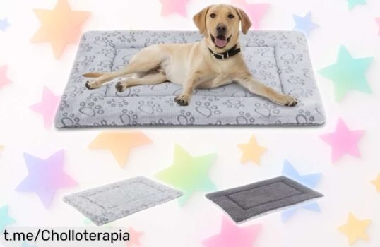 Colchoneta reversible para perros y gatos súper chula, resistente y fácil de lavar perfecta para cualquier ocasión ¡rebajada a precio loco solo por poco tiempo! No pierdas el ofertón que hará feliz a tu peludo ya mismo