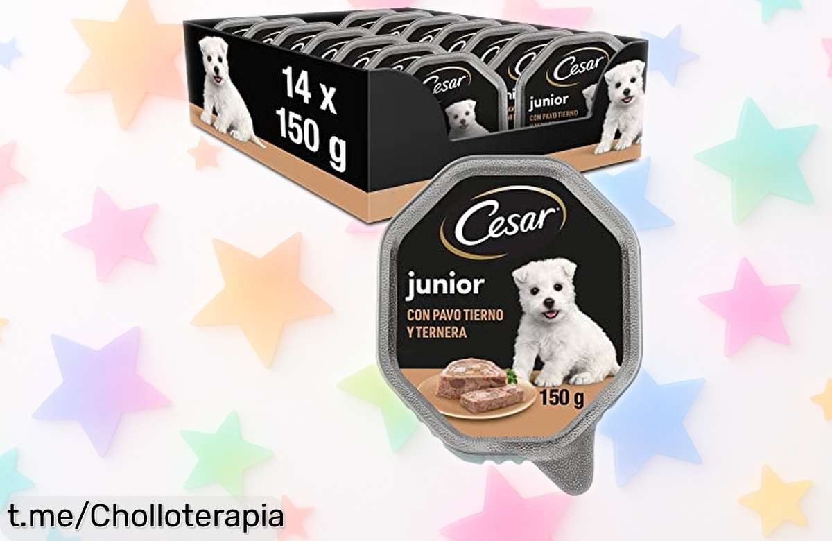 Comida húmeda en gelatina para cachorros Cesar con pavo y ternera 14 tarrinas rebajadas para que tu peludo crezca fuerte ¡no dejes pasar este super chollo que vuela rápido!
