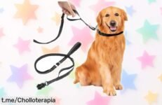 Correa de arrastre para perros con diseño reflectante y mosquetón inoxidable, ¡súper chollo a precio rebajado por tiempo limitado! Haz que tu mejor amigo esté seguro mientras disfruta.