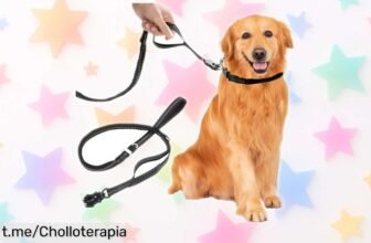Correa de arrastre para perros con diseño reflectante y mosquetón inoxidable, ¡súper chollo a precio rebajado por tiempo limitado! Haz que tu mejor amigo esté seguro mientras disfruta.