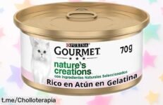 Deliciosa comida húmeda para gatos Purina Gourmet con atún y gambas, ¡24 latas a un precio rebajado que no se repite! Haz feliz a tu minino antes de que termine este chollazo irresistible.