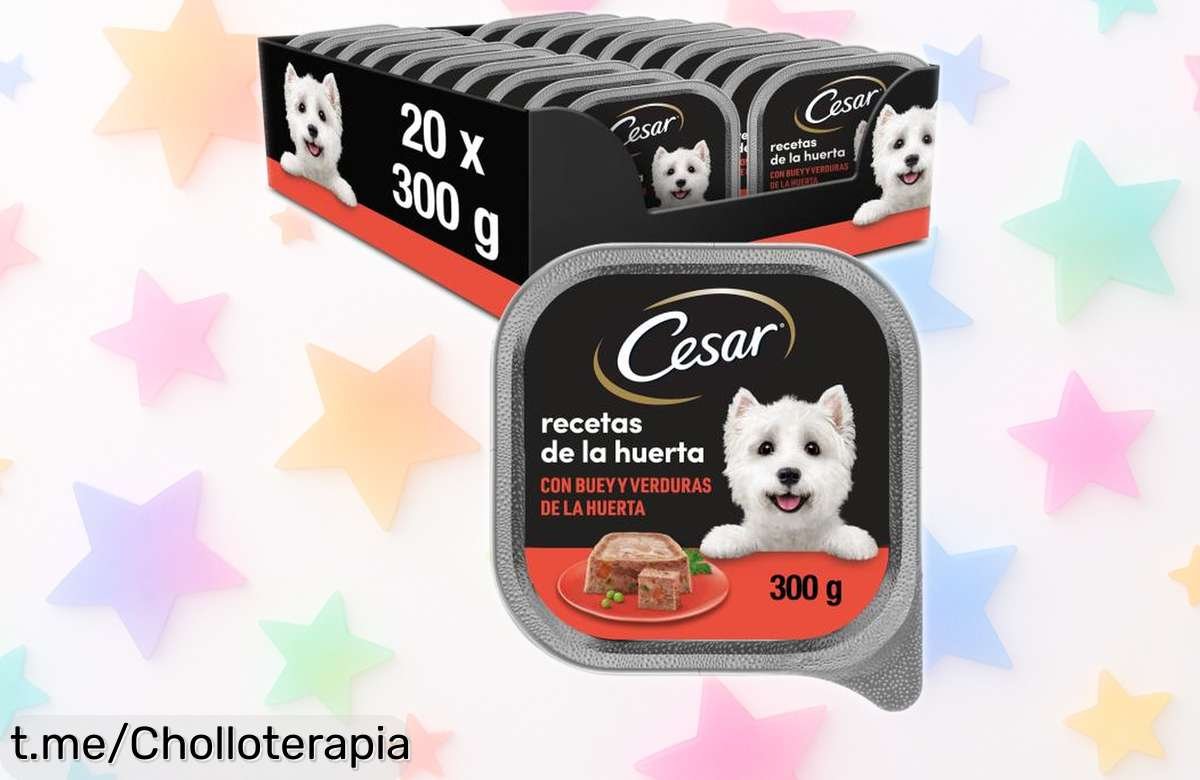 Deliciosa comida húmeda para perros sabor buey y verduras Cesar, pack de 20 tarrinas a un precio rebajado que no puedes dejar escapar. ¡Apresúrate antes de que se agoten!