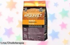 Delicioso pienso natural para perros Archivet en oferta, rebajado y fácil de digerir para que tu peludo esté feliz y lleno de energía: ¡no te lo pierdas!
