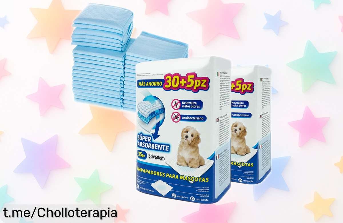 Empapadores de entrenamiento para perros y gatos con caída de precio brutal, 70 unidades que harán tu vida más fácil. ¡Aprovecha este super chollo antes de que se acabe y disfruta de la tranquilidad en casa ya mismo!