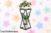 Estante esquinero para plantas Bamworld 09, un diseño espectacular que maximiza tu espacio y añade vida a cualquier rincón. ¡Precio rebajado increíblemente bajo, oferta limitada y ¡unidades volando! No dejes pasar este super chollazo único: corre antes de quedarte sin el tuyo.