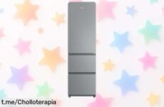 Frigorífico combi Haier 3D 55 Series 3 con total no frost y acceso rápido para comida fresquita mucho más tiempo ahora a precio rebajado irresistible corre que vuelan las unidades