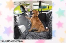 Funda impermeable para asiento trasero de perro con ventana de malla: super chollo que cuida tu coche y a tu mejor amigo ¡hazte con ella antes de que se agote!