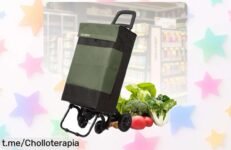 Impresionante carrito plegable DECODEKO para llevar todo lo que necesites: ¡súper resistente, ligero y un precio rebajado que no te puedes perder!