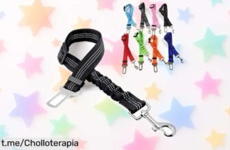 Increíble arnés de correa para perro con cinturón de seguridad, ¡rebajado! Pasea a tu mejor amigo seguro y confiado, aprovecha esta oferta limitada y siente la tranquilidad juntos ya.