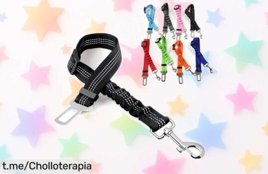 Increíble arnés de correa para perro con cinturón de seguridad, ¡rebajado! Pasea a tu mejor amigo seguro y confiado, aprovecha esta oferta limitada y siente la tranquilidad juntos ya.