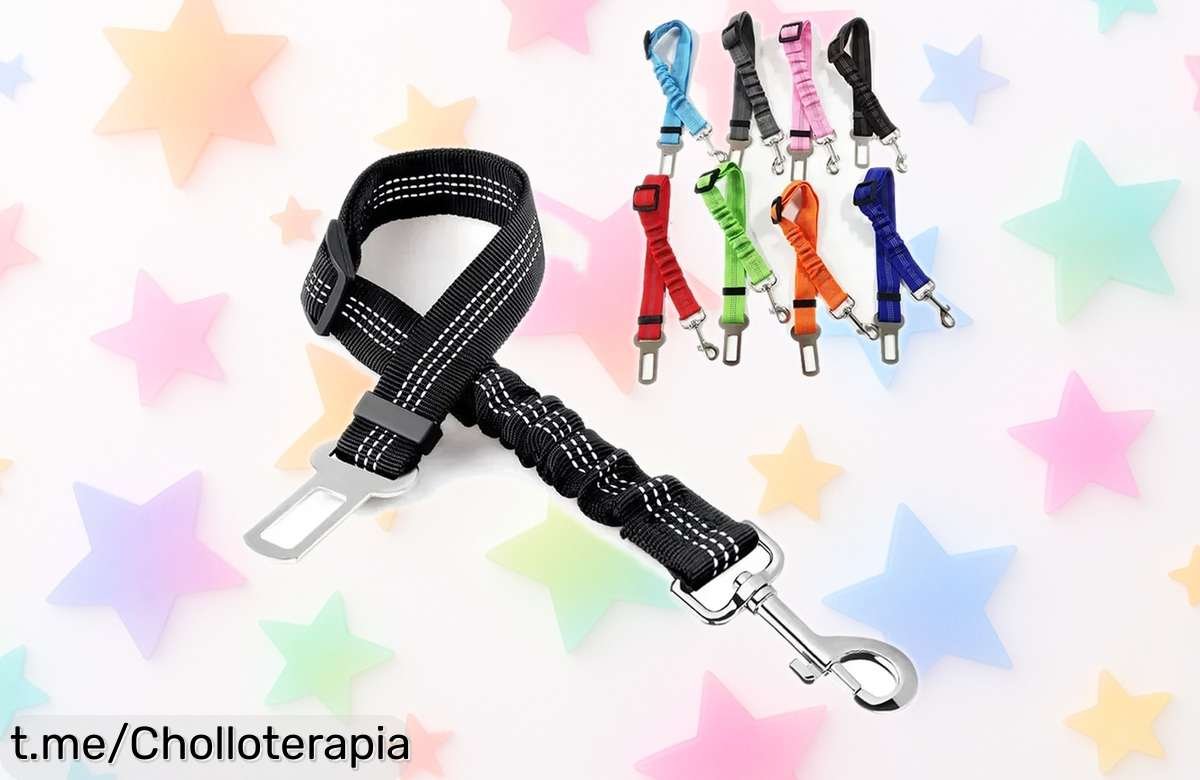 Increíble arnés de correa para perro con cinturón de seguridad, ¡rebajado! Pasea a tu mejor amigo seguro y confiado, aprovecha esta oferta limitada y siente la tranquilidad juntos ya.