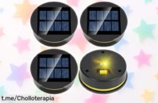 Juego de 4 lámparas solares con LED ultra brillantes y repuestos, resistentes al agua, precio rebajado espectacular que no durará mucho ¡Ilumina tu jardín toda la noche y corre antes que vuelen!