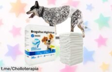 Pack de 30 braguitas higiénicas para perros machos, ¡rebajas explosivas! La solución perfecta con tres tallas incluidas para mimar a tu peludo. No te quedes sin este super chollo, la oferta acabarán pronto y no querrás perderte esta oportunidad imperdible. ¡Cómetelo antes de que se acabe!