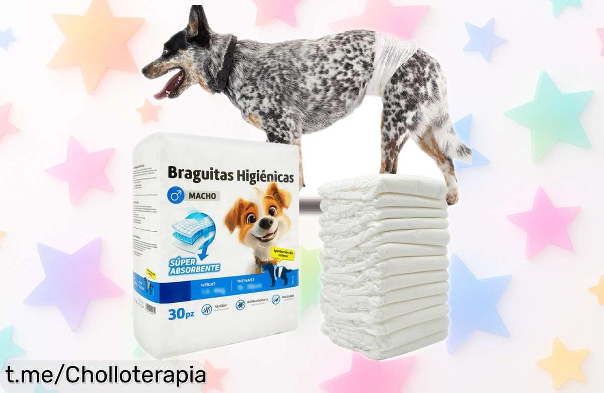 Pack de 30 braguitas higiénicas para perros machos, ¡rebajas explosivas! La solución perfecta con tres tallas incluidas para mimar a tu peludo. No te quedes sin este super chollo, la oferta acabarán pronto y no querrás perderte esta oportunidad imperdible. ¡Cómetelo antes de que se acabe!