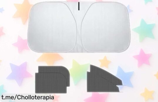 Parasol Lafo para parabrisas con 4 mosquiteras, el ofertón que bloquea el calor y protege tu coche. ¡No dejes pasar esta oportunidad única!