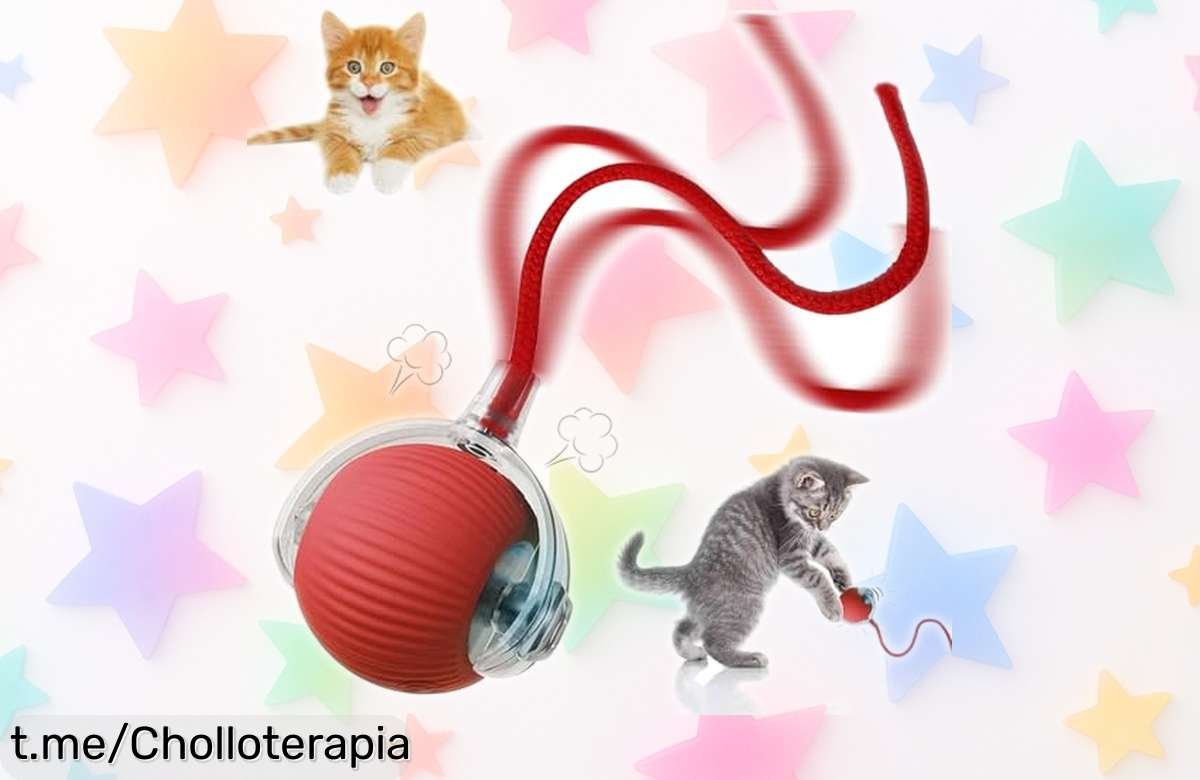 Pelota interactiva para gatos y perros STFYUG movimiento automático que entretiene sin parar a tu mascota ahora rebajada en un super chollo por tiempo muy limitado ¡No dejes pasar esta caída de precio!