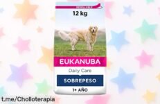Pienso especial para perros con sobrepeso Eukanuba 12 kg precio rebajado para cuidar huesos y dientes de tu peludo aprovecha este super chollo que vuela ya mismo